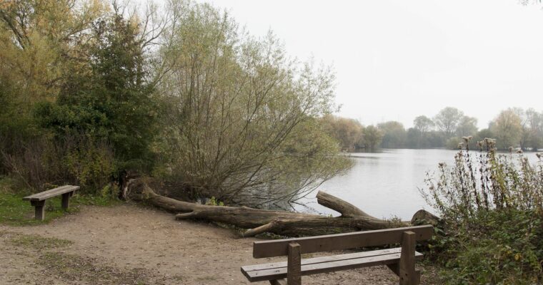 Leybourne Lakes Country Park