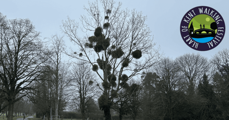 Trees with the Heart of Kent Walking Festival logo
