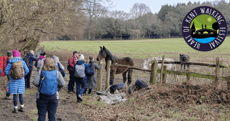 People looking at horses with the Heart of Kent Walking Festival logo