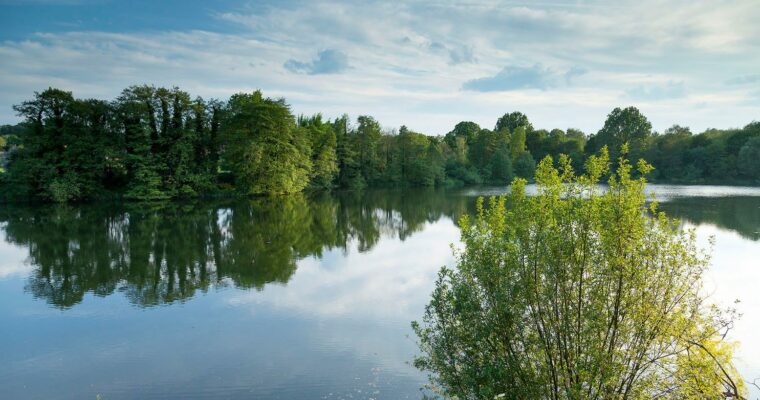 View over lakes at Sevenoaks Wildlife Reserve, with light reflecting off expanse of water