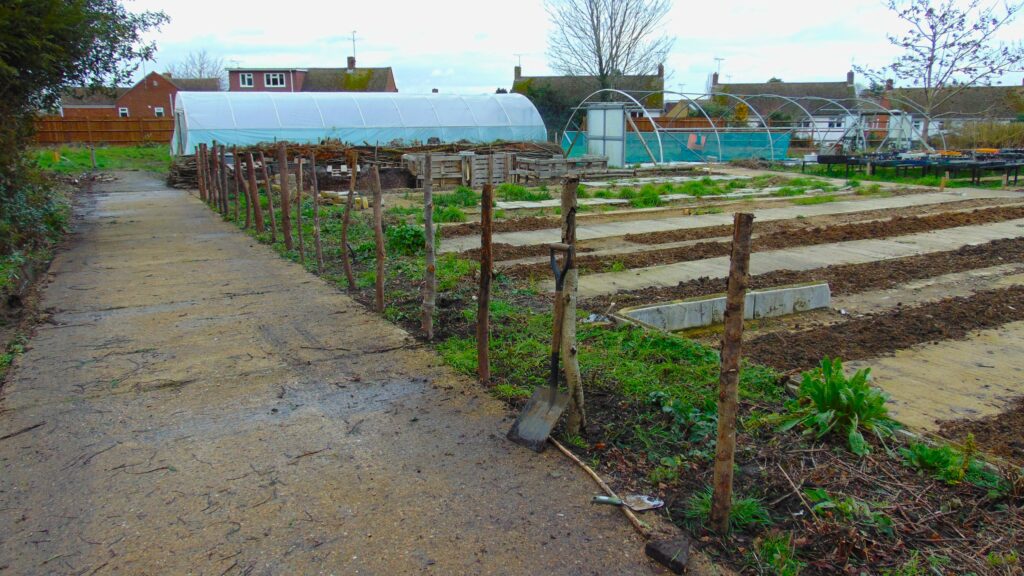 Cozenton Tree Nursery in Rainham