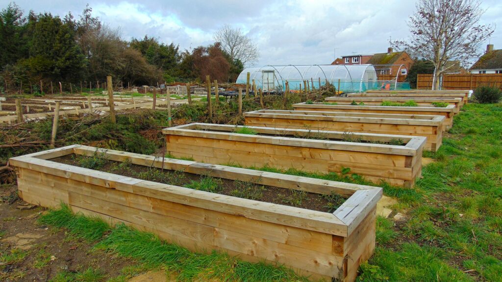 Cozenton Tree Nursery planters in Rainham