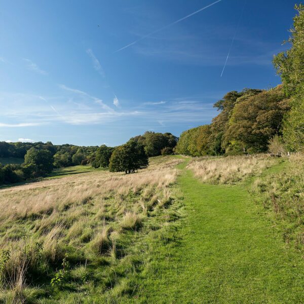 Brockhill