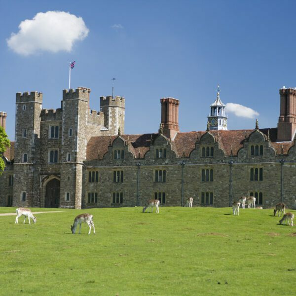 Deer roaming on grass by historic building