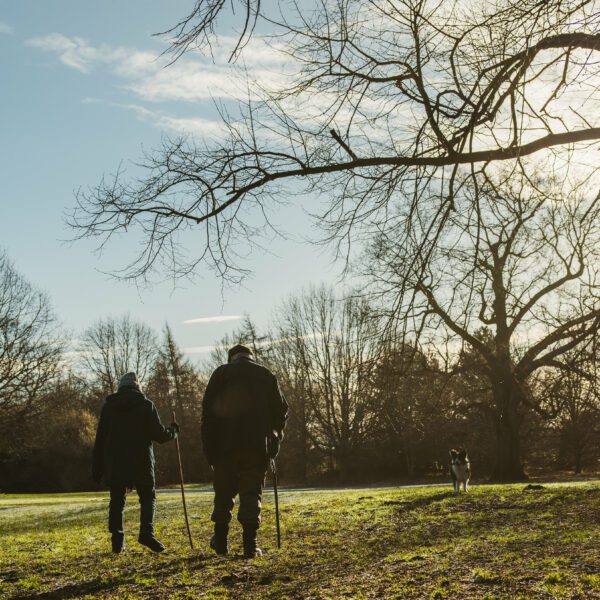 Two people with walking sticks walking through park in winter, with a dog running in the distance