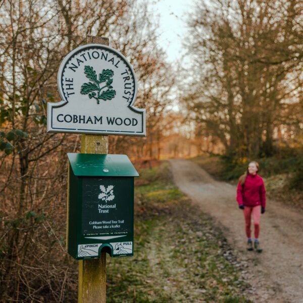 A male and female walking along a path in Cobham Wood, The trees have lost most of their leaves.