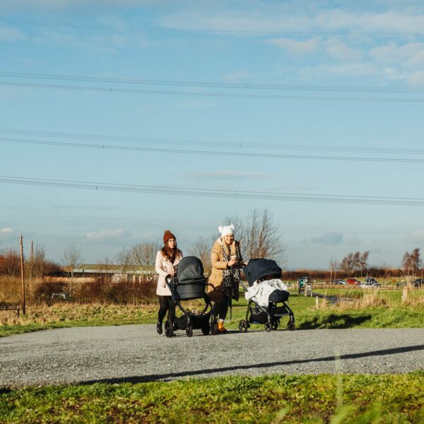 Jeskyns Stile Free Trail