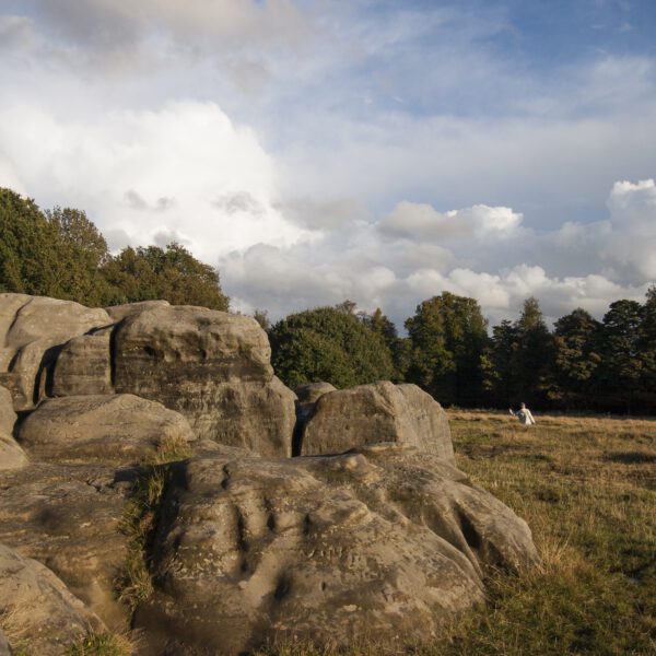 Sandstone rocks next to open grassland with trees behind, Tunbridge Wells Common
