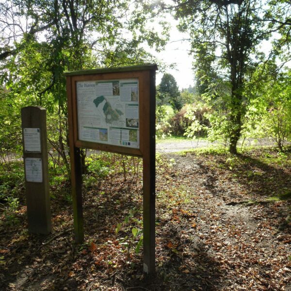 A path in a forest with a information board about The Warren, Ashford
