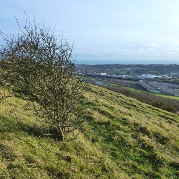 View from the Folkestone Downs of Folkestone town and the English Channel