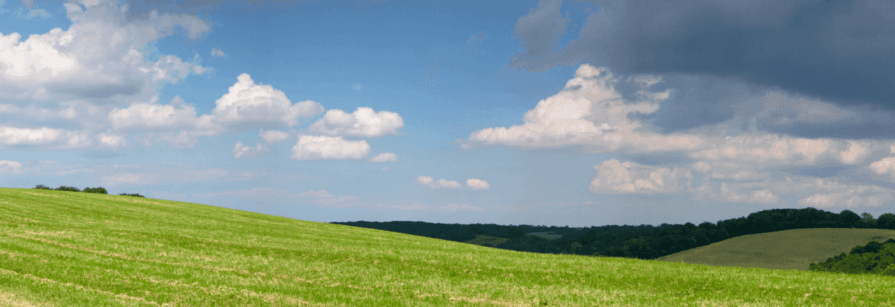 Panoramic view of a green field on a bright day