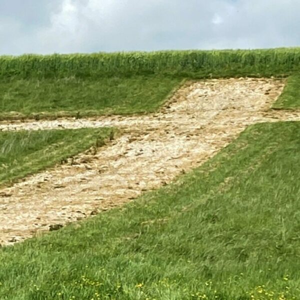 Chalk cross carved into the hillside at Lenham, Kent