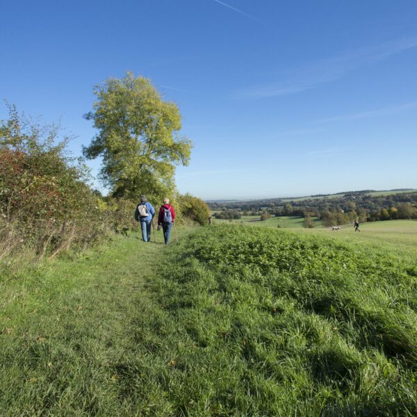 Two people walking on a grassy path with trees to the left and views of Darent Valley to the right, Lullingstone Country Park