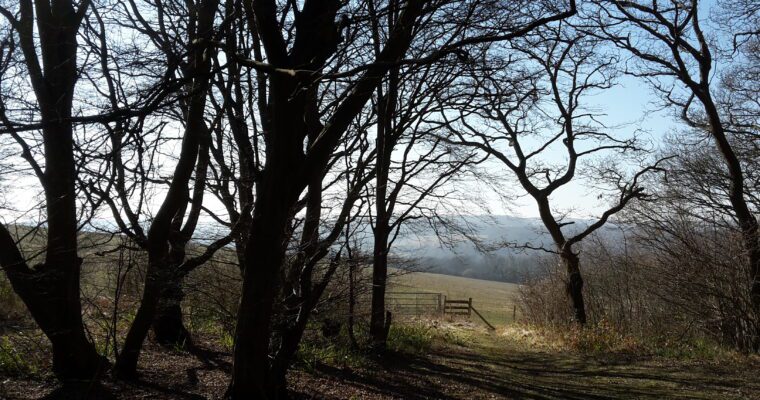 West Kent Downs Countryside Partnership