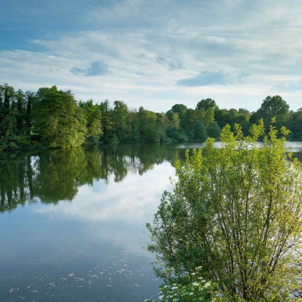 View over lakes at Sevenoaks Wildlife Reserve, with light reflecting off expanse of water