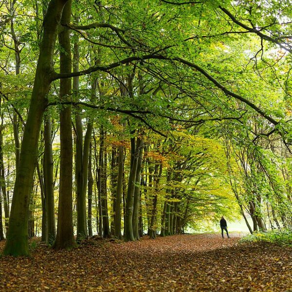 Lullingstone Country Park