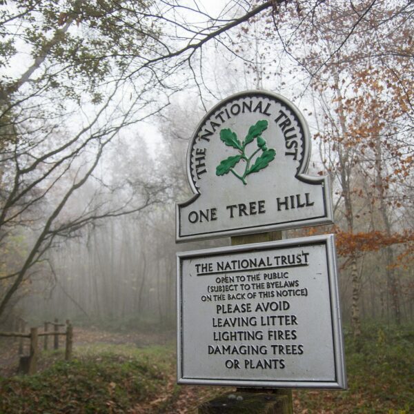 National Trust sign for One Tree Hill with rules to obey set in front of a path through trees.