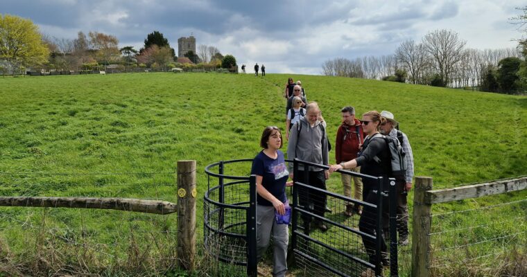 walkers in a freen field going through a gate