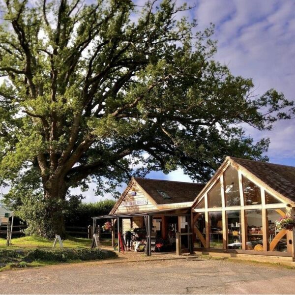 The outside of Groombridge Farm Shop next to a large tree