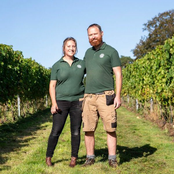 A man and a woman stood together between two rows of vines, Nine Oaks Vineyard.