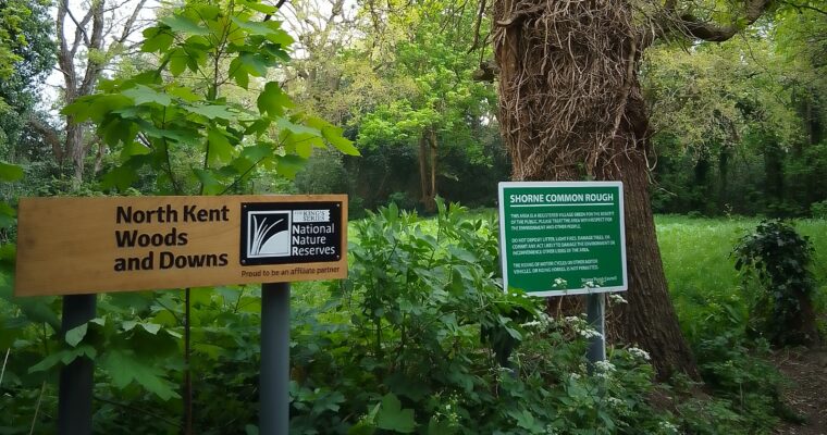 Green park with trees with a wooden sign "North Kent Woods and Downs"