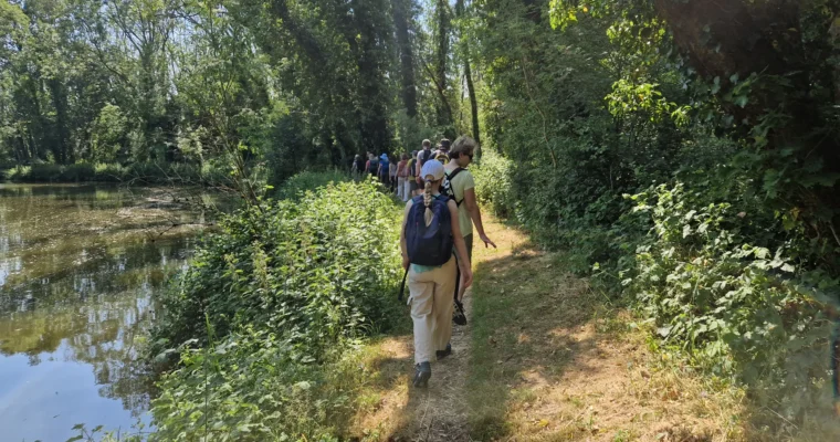 A line of walkers walking single file alongside a river with trees on the other side