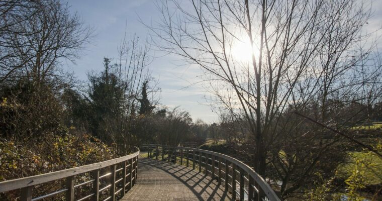 Wooden walkway next to the River Medway in Whatman Park
