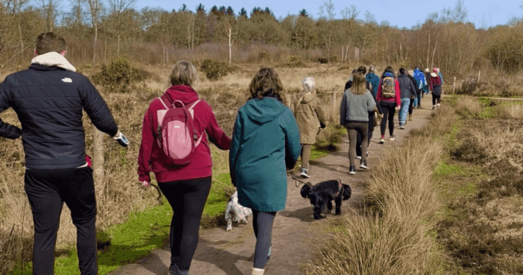 group of walkers, some with dogs, walking through a heath
