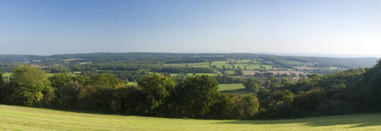 Viewpoint of fields