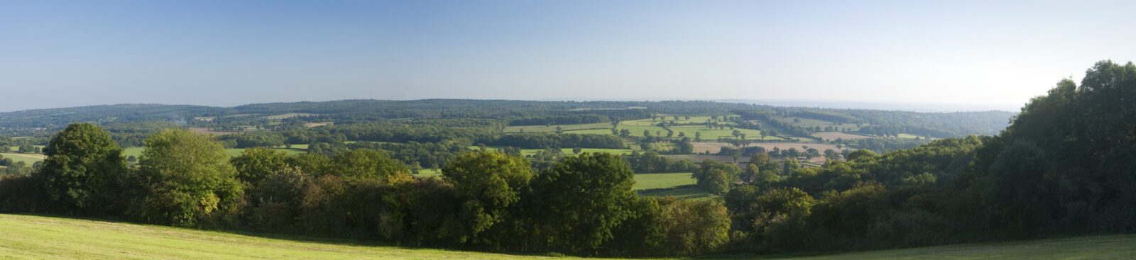 Viewpoint of fields