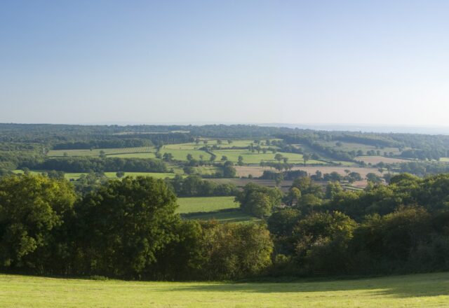 Viewpoint of fields