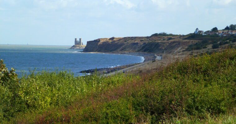 Grasslands, overlooking Reculver in distance