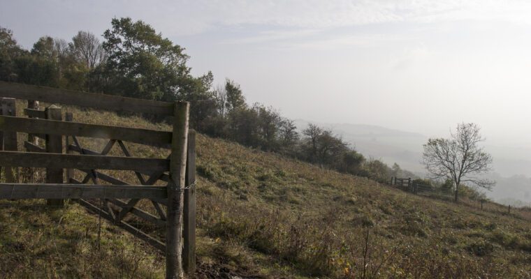 grassy hill with gate