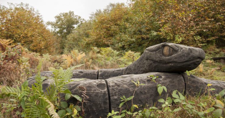 Wooden snake sculpture surrounded by grassland