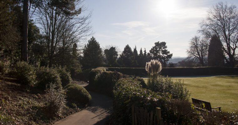 Concreate path winding around hedges and public garden