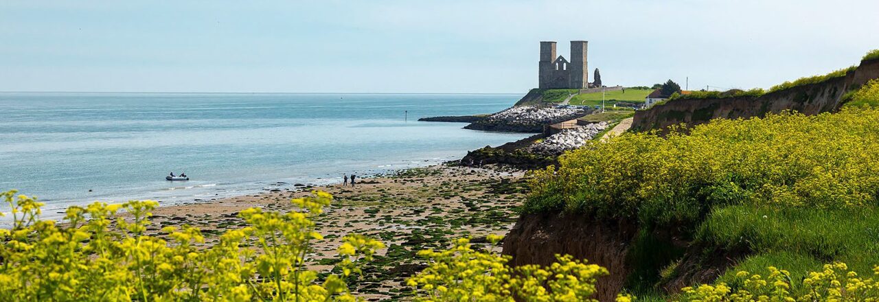 Reculver towers and spring flowers