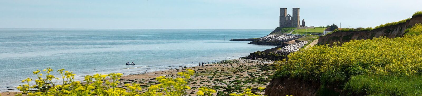 Reculver towers and spring flowers