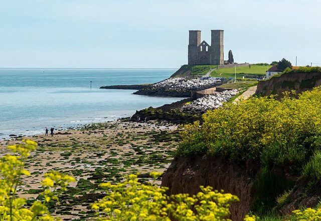 Reculver towers and spring flowers