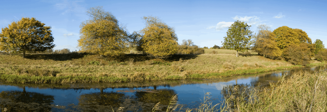 River canal overlooking trees