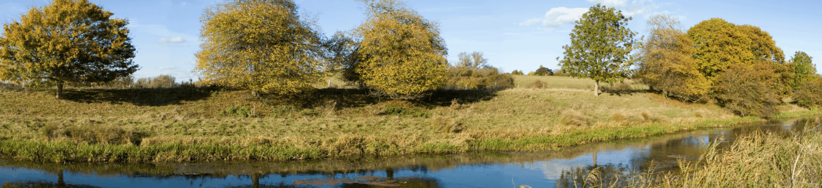 River canal overlooking trees