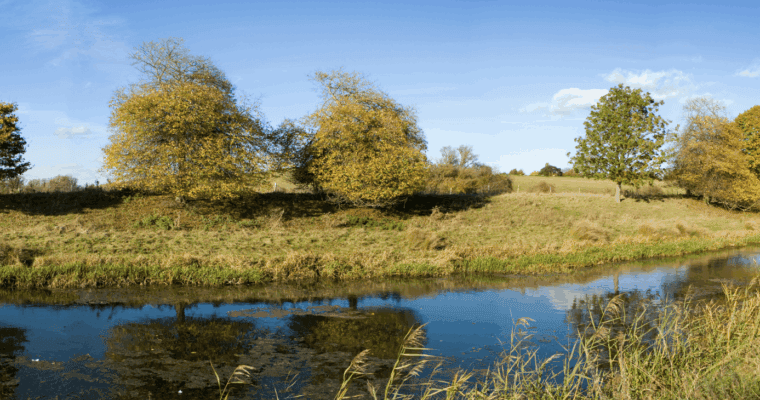 River canal overlooking trees