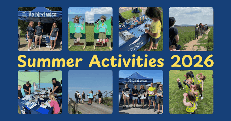Multiple images of children and staff enjoying bird spotting and craft based activities