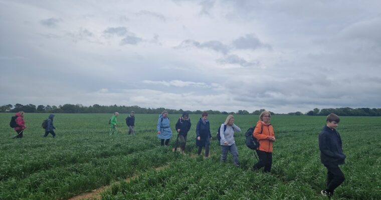 Eastling area field path