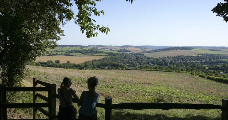 Green land overlooking views of fields
