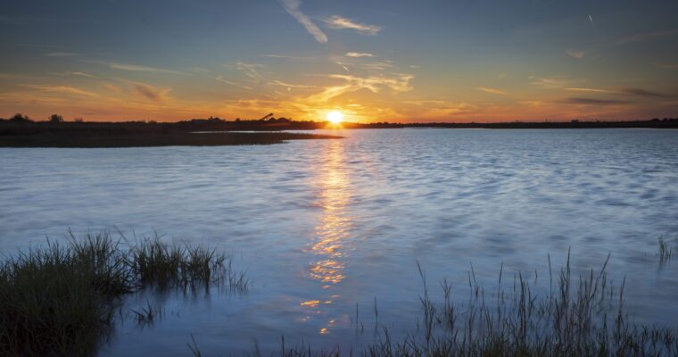 Cliffe Pools