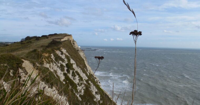 Shakespeare Cliff