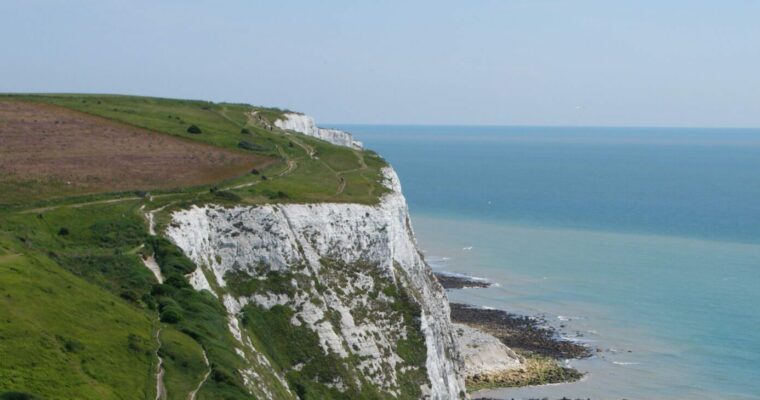 Guided Walk: Birds of the White Cliffs and South Foreland
