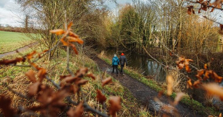 Woodland Animal Autumn Crafts at Lullingstone Country Park, from Explore Kent