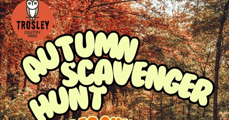 Poster for Autumn Scavenger Trail at Trosley Country Park.