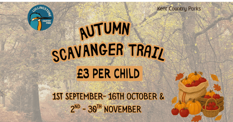 Poster for Autumn Scavanger Trail at Lullingstone County Park.
